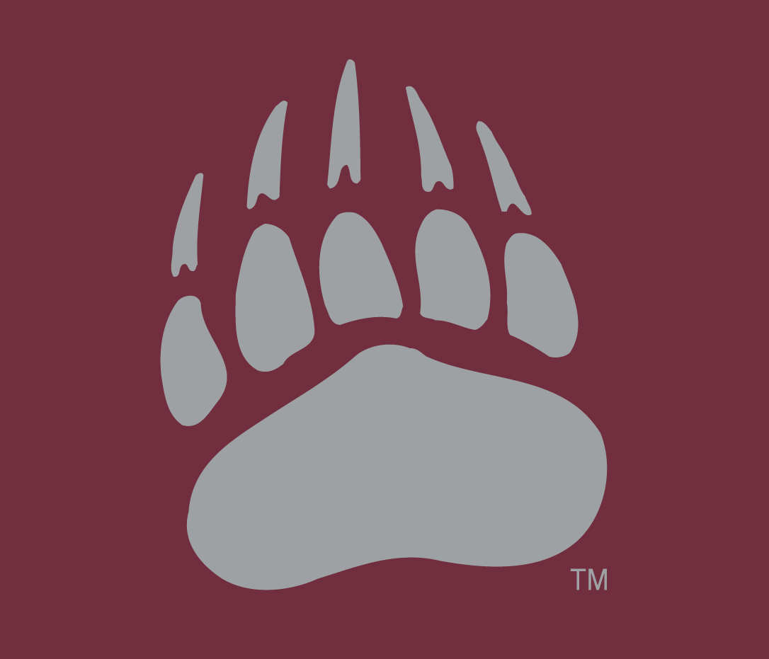 Montana Grizzlies 1996-Pres Alternate Logo v3 diy iron on heat transfer